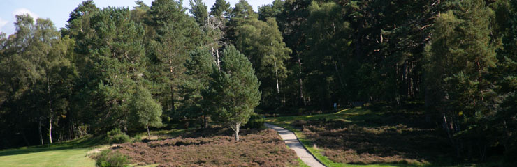 Abernethy Golf Club