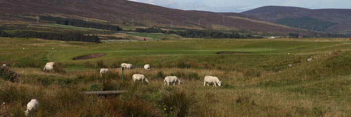 View of Brora golf course