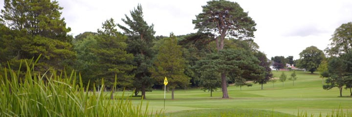 A view of Bruntsfield Links golf course