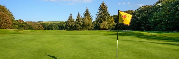 A view of one of the greens at Cardross Golf Club with woodland beyond