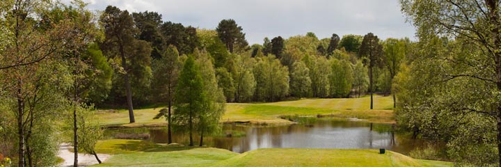 A view of Dougalston golf course