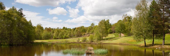 A view of Dougalston golf course