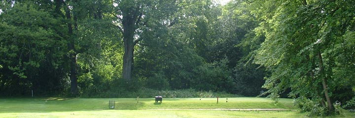 A tee at Gogarburn Golf Club with a backdrop of mature woodland