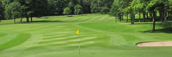 A view of Haggs Castle golf course