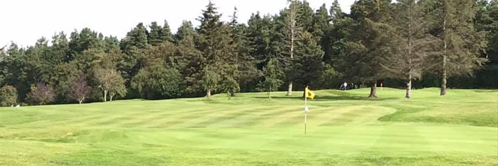 Hamilton golf course with a backdrop of mature trees