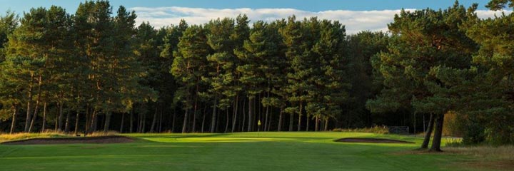 A view of Ladybank golf course