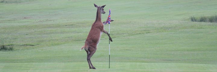 Lochranza golf course