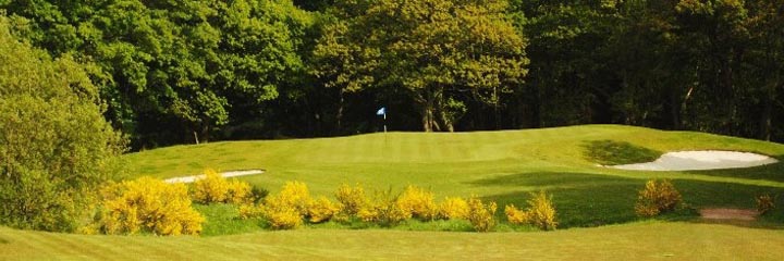 The Wee Piper course at the Piperdam Leisure Resort