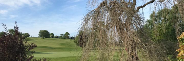 A view of Ralston golf course