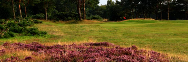 Scotscraig Golf Club