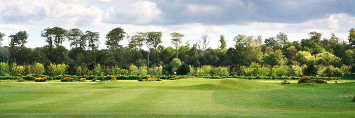 A view of the Strathtyrum course at St Andrews