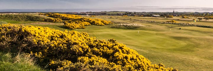 The 16th hole on the 1562 course  at Montrose Golf Links